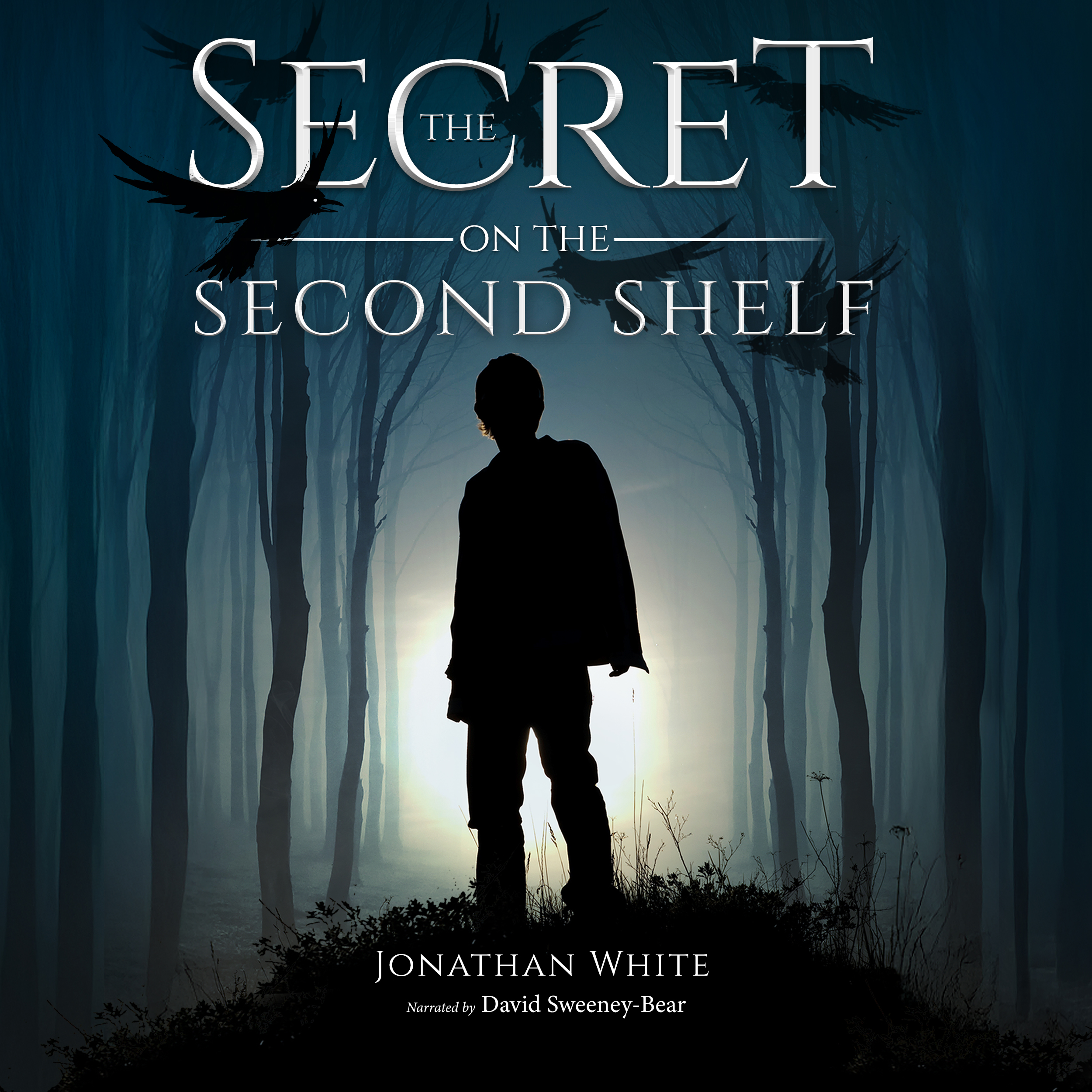“The Secret on the Second Shelf” by Jonathan White